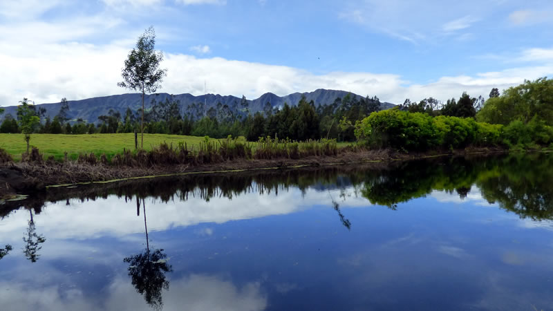 laguna